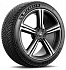 Шина Michelin Pilot Alpin 5 315/30 R21 105V XL (2021 г.в.)